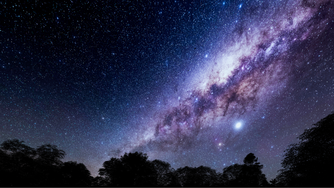 The Milky Way visible in the night sky above a wooded area